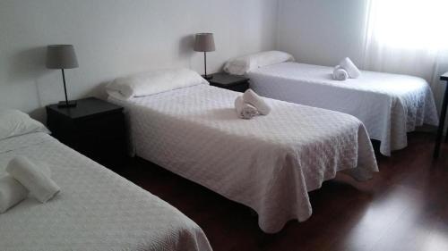 Rua Suites - main image