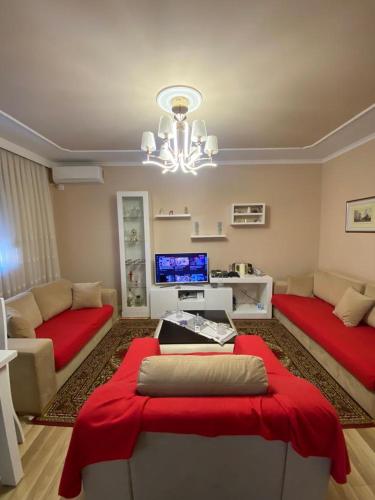 Selmani Apartment — Hotel in Tirana