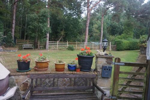 The Ramblers Retreat - image 6