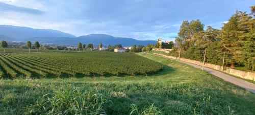 Torretta sul Colle