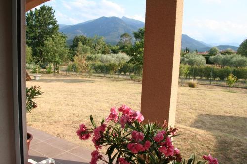 Canigou, gîtes LEFEBVRE, 4* climatisé, table d'hôte