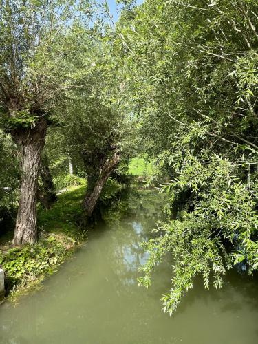 Le Farine Del Maestro