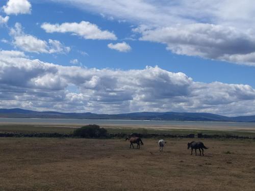 Balneario de Corconte - image 2