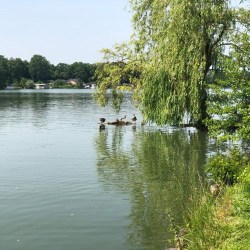 Ferienwohnung mit Wasserzugang