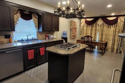 Modern Castle in Houston (TX)