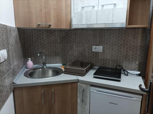 One-Bedroom Apartment image 10