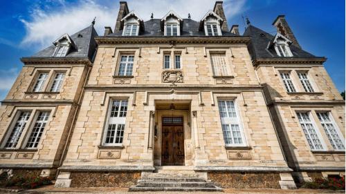 Napoleon Chateau Luxuryapartment for 18 guests with Pool near Paris!