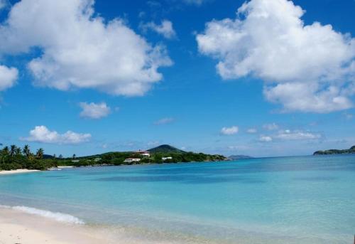 沙灘, Sapphire Beachfront Condo - View of Paradise - Free Wi - Fi in 雷德胡克