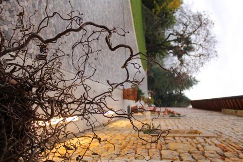 Country House Due Fiumi - image 14