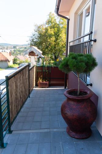 JEDRO - Apartman sa garažnim parkingom, Vrnjačka Banja (Foto 8)