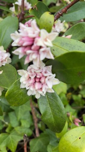 西奥克兰浪漫怀旧度假屋