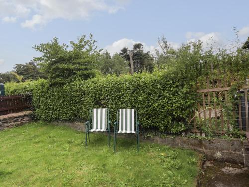 Pen Dinas - image 13