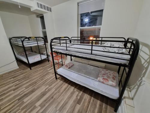 Bed in 6-Bed Mixed Dormitory Room