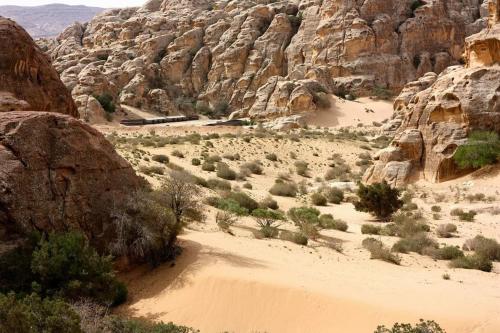 Ammarin Bedouin Camp in วาดิ มูซา
