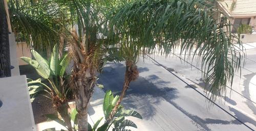 Viesnīcas āriene, ELLA LUXURY APARTMENT - (BREAKBOOKING CY) in Kato Polemidia