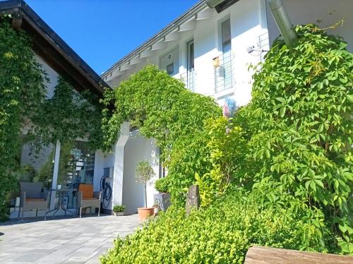 Kilátás, Küken Winterberg (Kuken Winterberg) in Siedlinghausen