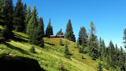 運動及活動, Vorderkaseralm in 許奇拉格