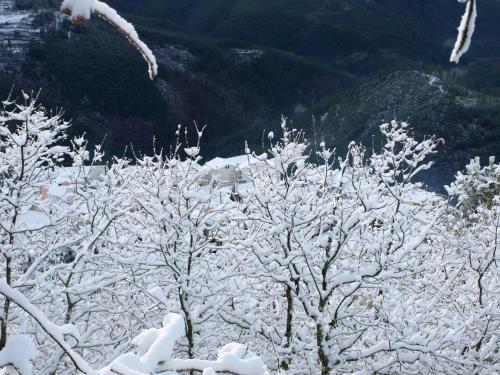 Casas do Soito - Accommodation - Seia