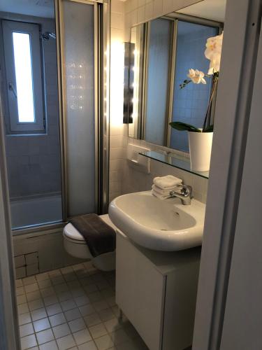 studio b - Sunny City Business Apartment with roof-top terrace for 2-4 guests, Düsseldorf (photo 7)