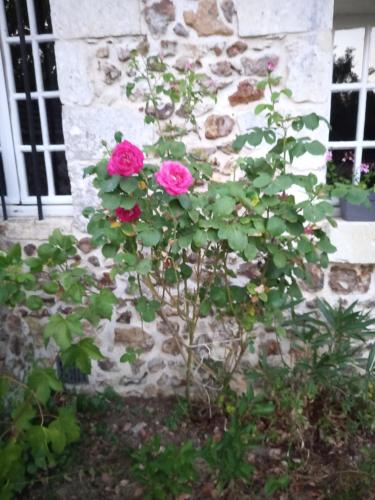 Maisonnette indépendante au bord du loir