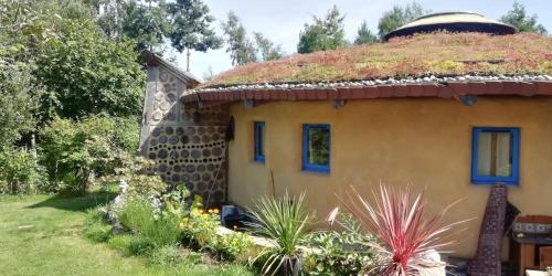 ทัศนียภาพภายนอกโรงแรม, Sapphire forest garden shepherd’s hut in โบสถ์สเตร็ทตัน