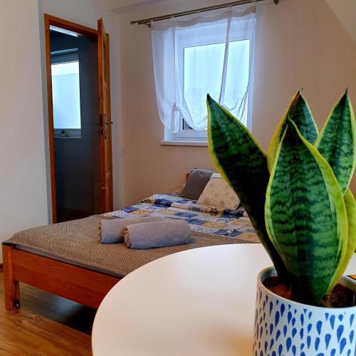 Pokoje Gościnne Przeklasa Paweł (Pokoje Goscinne Przeklasa Pawel) in Guty