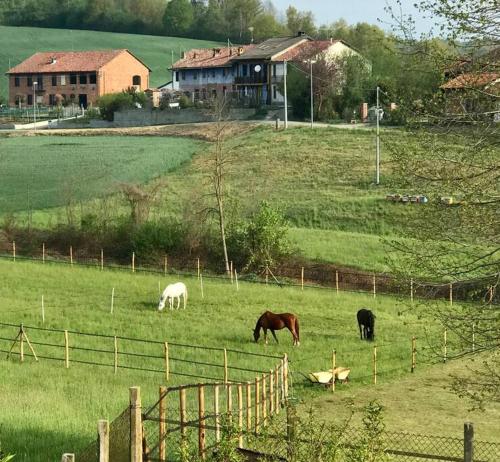  Appartamento in cascina -la cascinetta di Ali- in 14018 Roatto