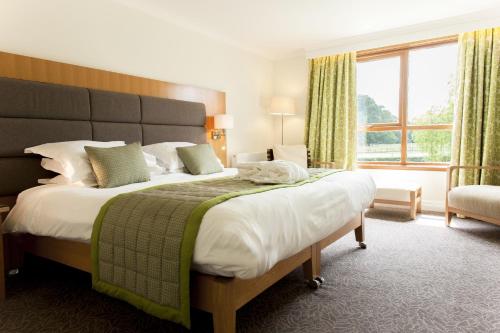 Champneys Forest Mere - image 13