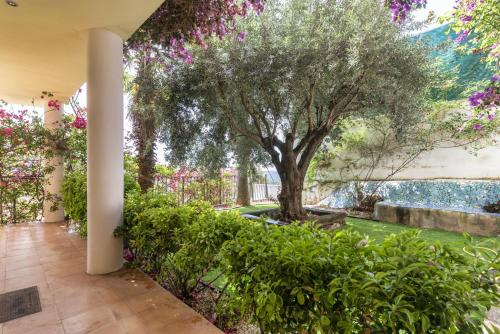 6 bedrooms villa with sea view private pool and jacuzzi at Olivella