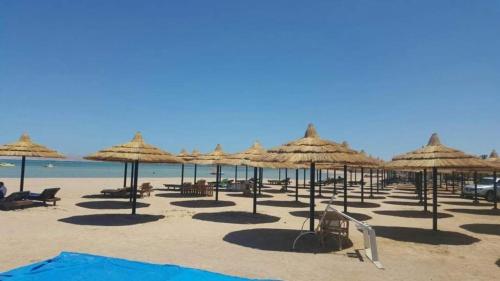 easy rent in porto sharm 3