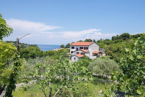 Apartments with WiFi Veli Losinj, Losinj - 19799