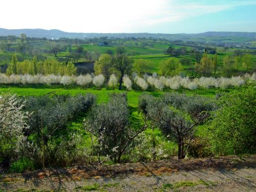  Poggio Neriolo, Pension in Giano dellʼUmbria