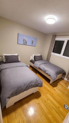 YK Aurora in Yellowknife (Északnyugati Területek)