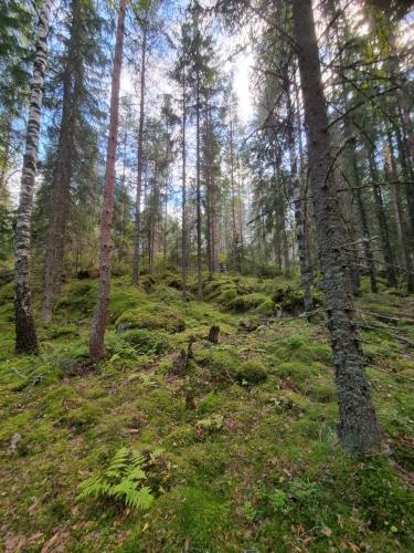 Ellivuori Suite with Sauna and Balcony Ellivuori Suite with Sauna and Balcony