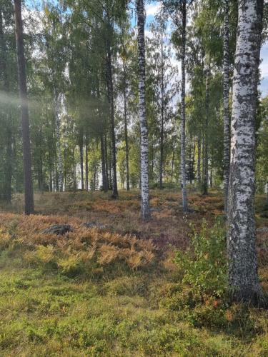 Ellivuori Suite with Sauna and Balcony Ellivuori Suite with Sauna and Balcony