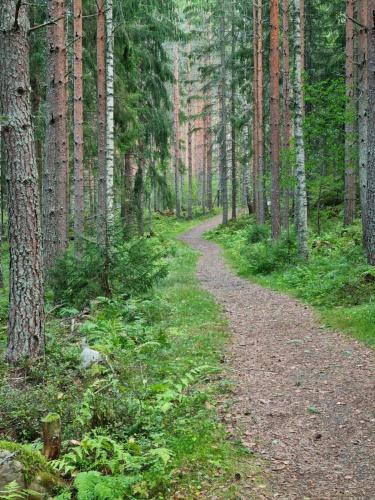 Ellivuori Suite with Sauna and Balcony Ellivuori Suite with Sauna and Balcony