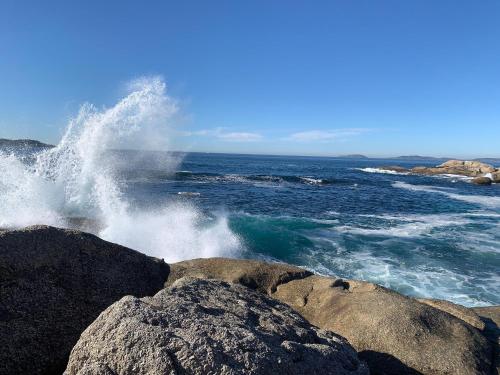 Un Paraiso Junto al Mar