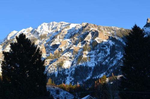 The Ouray Main Street Inn - image 12