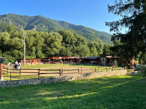Apartmán Kykula - Terchová, Vyšné Kamence 1520 (Apartman Kykula - Terchova, Vysne Kamence 1520) in Terchova