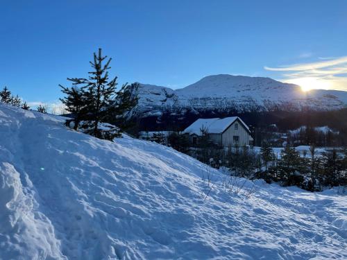 Spacious 2-bedroom holiday apartment - Hemsedal Veslehorn 14