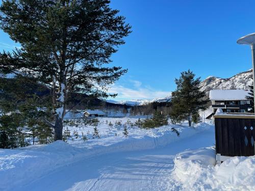 Okružje, Spacious 2-bedroom holiday apartment - Hemsedal Veslehorn 14 in Hemsedal