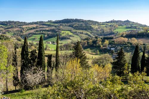 B&B Glicine - image 14