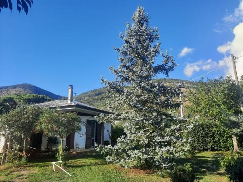  Casetta in Collina in Sezze