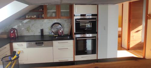 virtuve, Ferienwohnung Sonnenhang Würnitz (Ferienwohnung Sonnenhang Wurnitz) in Manhartsbrunn