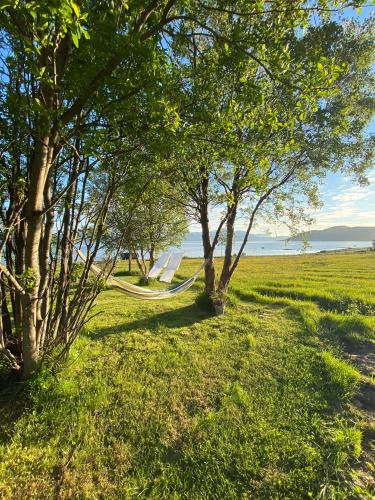 Garden, Unique and charming holiday home with fantastic sea views in Straumsbukta