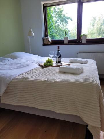 4 pory roku in Lomianki