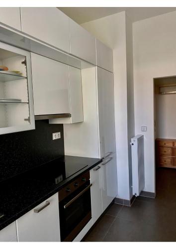 Studio apartment in center Brno, Brno (foto 4)