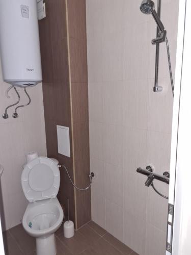 Студиа Студенец, Smoljan (Foto 3)