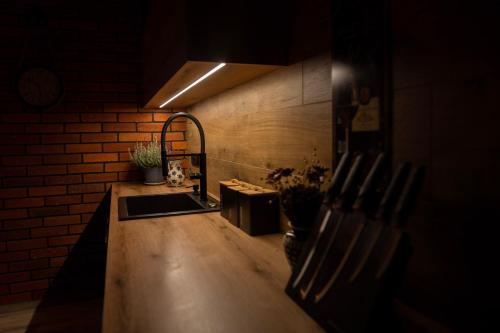 HORTUS apartament z klimatyzacją