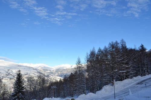 Chalet de Montalbert 22B - image 8